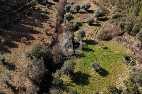 Helårsgrund i Castelo Branco, Castelo Branco, Castelo Branco - € 13.000 | Ref: H489 - foto 22