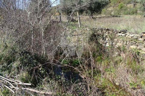 Helårsgrund i Castelo Branco, Castelo Branco, Castelo Branco - € 13.000 | Ref: H489 - foto 25