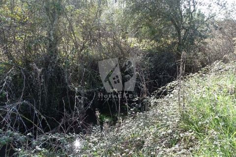 Helårsgrund i Castelo Branco, Castelo Branco, Castelo Branco - € 13.000 | Ref: H489 - foto 27