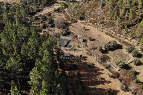 Helårsgrund i Castelo Branco, Castelo Branco, Castelo Branco - € 13.000 | Ref: H489 - foto 29