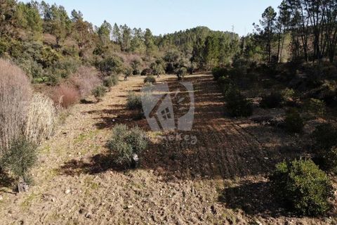 Helårsgrund i Castelo Branco, Castelo Branco, Castelo Branco - € 13.000 | Ref: H489 - foto 31