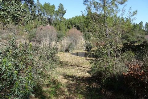 Helårsgrund i Castelo Branco, Castelo Branco, Castelo Branco - € 13.000 | Ref: H489 - foto 33