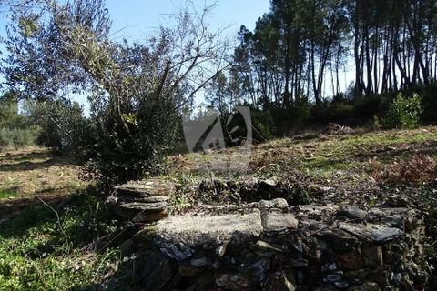 Helårsgrund i Castelo Branco, Castelo Branco, Castelo Branco - € 13.000 | Ref: H489 - foto 34