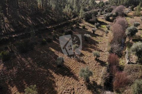 Helårsgrund i Castelo Branco, Castelo Branco, Castelo Branco - € 13.000 | Ref: H489 - foto 36