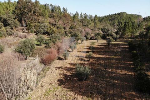 Helårsgrund i Castelo Branco, Castelo Branco, Castelo Branco - € 13.000 | Ref: H489 - foto 37