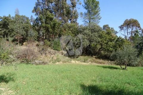 Helårsgrund i Castelo Branco, Castelo Branco, Castelo Branco - € 13.000 | Ref: H489 - foto 41