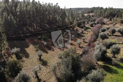 Helårsgrund i Castelo Branco, Castelo Branco, Castelo Branco - € 13.000 | Ref: H489 - foto 44