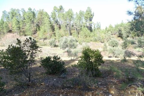 Helårsgrund i Castelo Branco, Castelo Branco, Castelo Branco - € 13.000 | Ref: H489 - foto 45