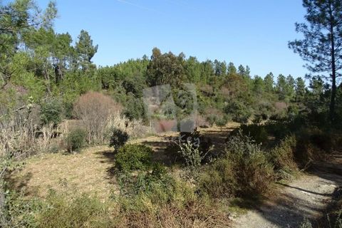 Helårsgrund i Castelo Branco, Castelo Branco, Castelo Branco - € 13.000 | Ref: H489 - foto 46