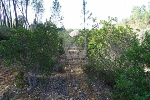 Helårsgrund i Castelo Branco, Castelo Branco, Castelo Branco - € 13.000 | Ref: H489 - foto 47