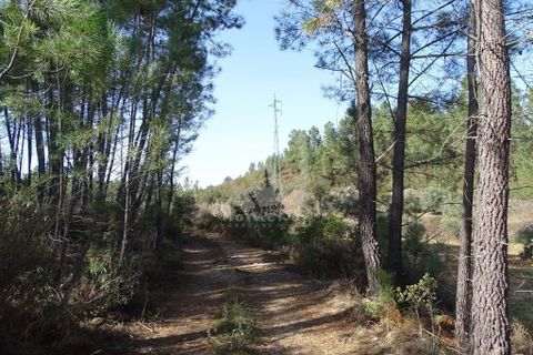 Helårsgrund i Castelo Branco, Castelo Branco, Castelo Branco - € 13.000 | Ref: H489 - foto 49