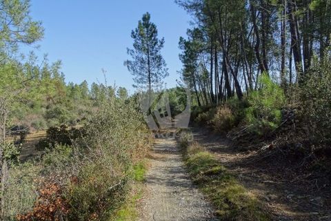 Helårsgrund i Castelo Branco, Castelo Branco, Castelo Branco - € 13.000 | Ref: H489 - foto 50