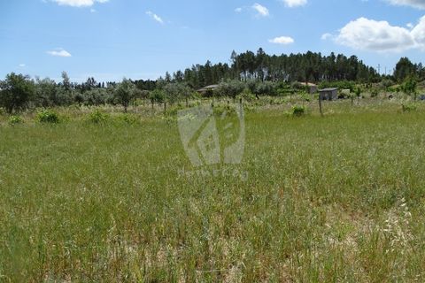 Helårsgrund i Castelo Branco, Castelo Branco, Castelo Branco - € 22.000 | Ref: H508 - foto 1