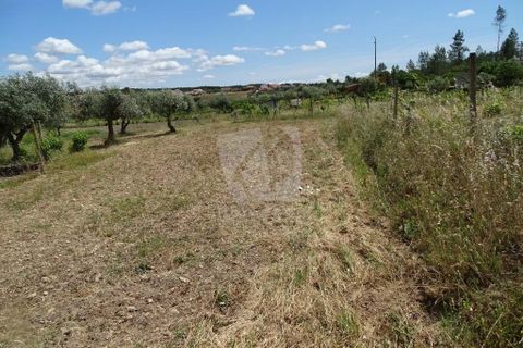 Helårsgrund i Castelo Branco, Castelo Branco, Castelo Branco - € 22.000 | Ref: H508 - foto 3