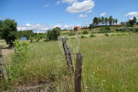 Helårsgrund i Castelo Branco, Castelo Branco, Castelo Branco - € 22.000 | Ref: H508 - foto 4
