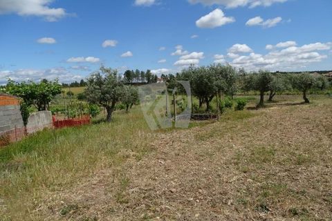 Helårsgrund i Castelo Branco, Castelo Branco, Castelo Branco - € 22.000 | Ref: H508 - foto 5