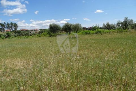 Helårsgrund i Castelo Branco, Castelo Branco, Castelo Branco - € 22.000 | Ref: H508 - foto 6