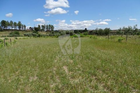 Helårsgrund i Castelo Branco, Castelo Branco, Castelo Branco - € 22.000 | Ref: H508 - foto 7