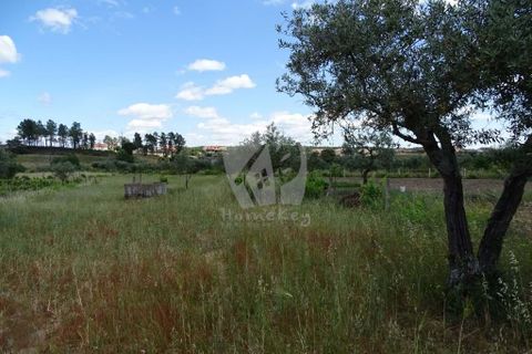 Helårsgrund i Castelo Branco, Castelo Branco, Castelo Branco - € 22.000 | Ref: H508 - foto 8