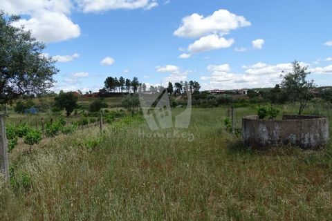 Helårsgrund i Castelo Branco, Castelo Branco, Castelo Branco - € 22.000 | Ref: H508 - foto 12