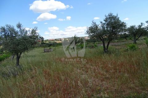 Helårsgrund i Castelo Branco, Castelo Branco, Castelo Branco - € 22.000 | Ref: H508 - foto 13