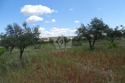 Helårsgrund i Castelo Branco, Castelo Branco, Castelo Branco - € 22.000 | Ref: H508 - foto 14