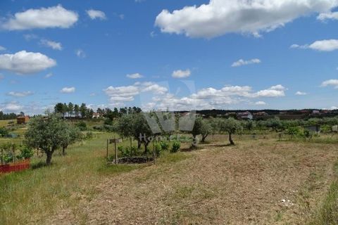 Helårsgrund i Castelo Branco, Castelo Branco, Castelo Branco - € 22.000 | Ref: H508 - foto 15