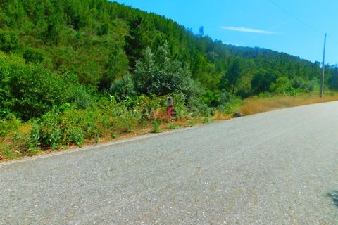 Helårsgrund i Castelo Branco, Castelo Branco, Castelo Branco - € 6.500 | Ref: 255240133 - foto 5