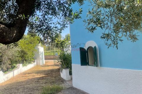 Landejendom i Ostuni, Brindisi, Ostuni - € 139.000 | Ref: 289 - foto 6