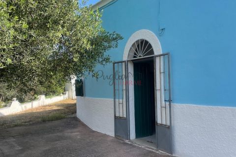 Landejendom i Ostuni, Brindisi, Ostuni - € 139.000 | Ref: 289 - foto 5