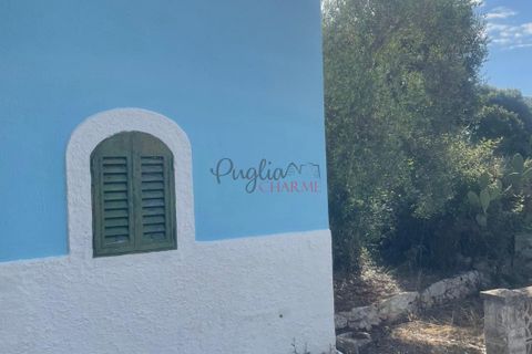 Landejendom i Ostuni, Brindisi, Ostuni - € 139.000 | Ref: 289 - foto 2