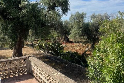 Landejendom i Ostuni, Brindisi, Ostuni - € 139.000 | Ref: 289 - foto 7