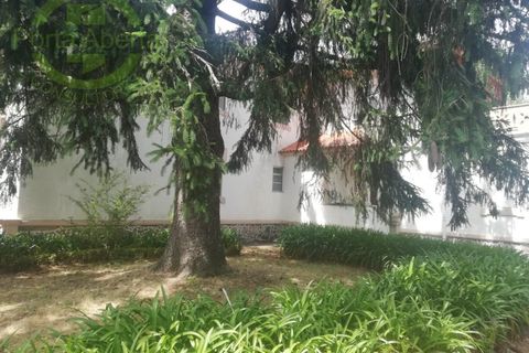 Villa i Gouveia, Guarda, Gouveia - € 750.000 | Ref: PAL_1325 - foto 12