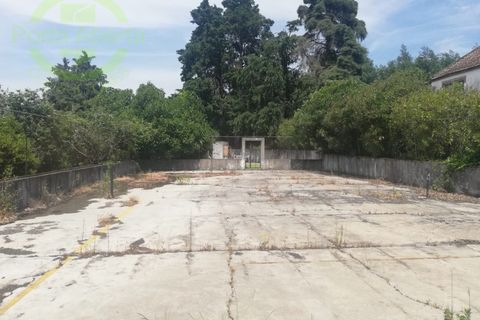 Villa i Gouveia, Guarda, Gouveia - € 750.000 | Ref: PAL_1325 - foto 14