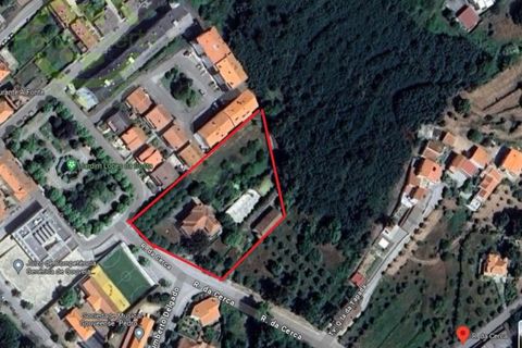 Villa i Gouveia, Guarda, Gouveia - € 750.000 | Ref: PAL_1325 - foto 38