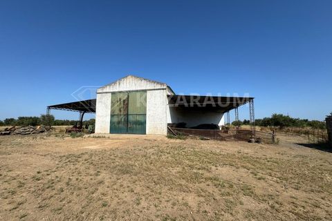Herregård i Ourique, Beja, Ourique - € 1 200 000 | Ref: K-263 - foto 2