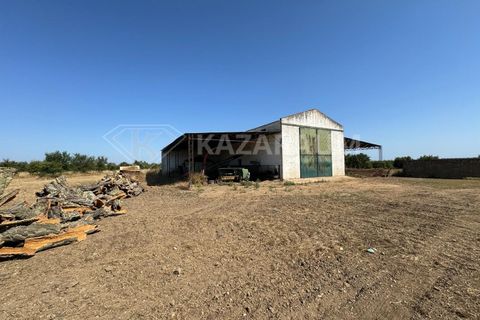 Herregård i Ourique, Beja, Ourique - € 1 200 000 | Ref: K-263 - foto 3