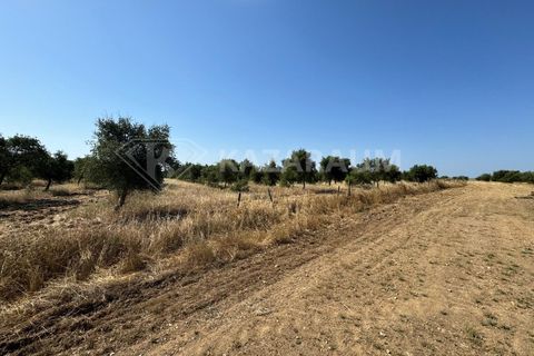 Herregård i Ourique, Beja, Ourique - € 1 200 000 | Ref: K-263 - foto 5