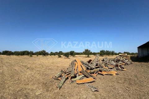 Herregård i Ourique, Beja, Ourique - € 1 200 000 | Ref: K-263 - foto 6