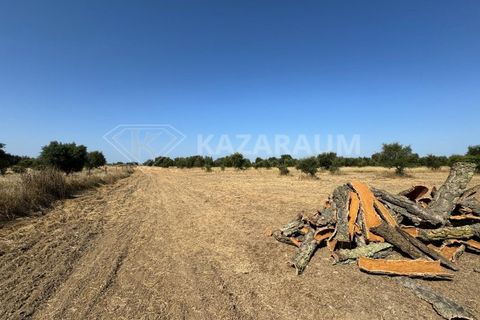 Herregård i Ourique, Beja, Ourique - € 1 200 000 | Ref: K-263 - foto 7