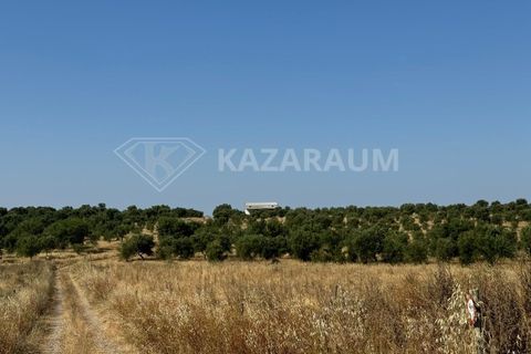 Herregård i Ourique, Beja, Ourique - € 1 200 000 | Ref: K-263 - foto 8