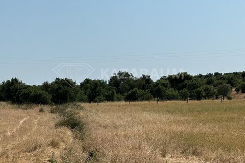Herregård i Ourique, Beja, Ourique - € 1 200 000 | Ref: K-263 - foto 10