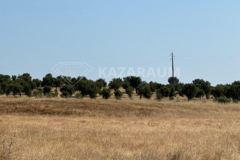 Herregård i Ourique, Beja, Ourique - € 1 200 000 | Ref: K-263 - foto 12