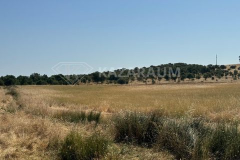 Herregård i Ourique, Beja, Ourique - € 1 200 000 | Ref: K-263 - foto 14