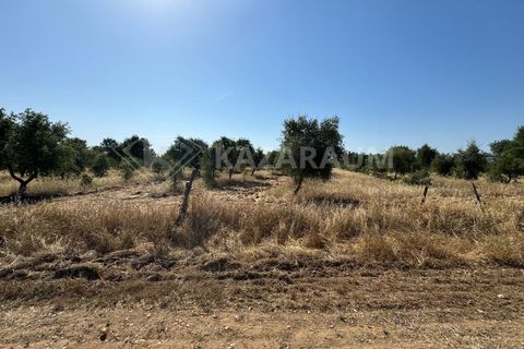 Herregård i Ourique, Beja, Ourique - € 1 200 000 | Ref: K-263 - foto 15
