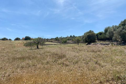 Helårsgrund i Son Servera, Mallorca, Son Servera - € 355.000 | Ref: FALC-CrYa-53252 - foto 2