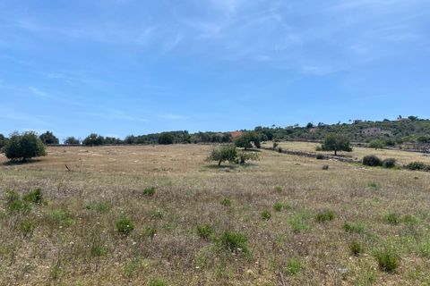 Helårsgrund i Son Servera, Mallorca, Son Servera - € 355.000 | Ref: FALC-CrYa-53252 - foto 4