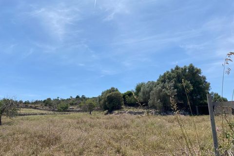 Helårsgrund i Son Servera, Mallorca, Son Servera - € 355.000 | Ref: FALC-CrYa-53252 - foto 6