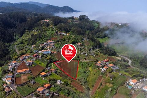 Terra a Santana, Madeira, Santana - € 59.000 | Ref: 081230178 - foto 2