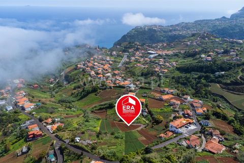 Terra a Santana, Madeira, Santana - € 59.000 | Ref: 081230178 - foto 3